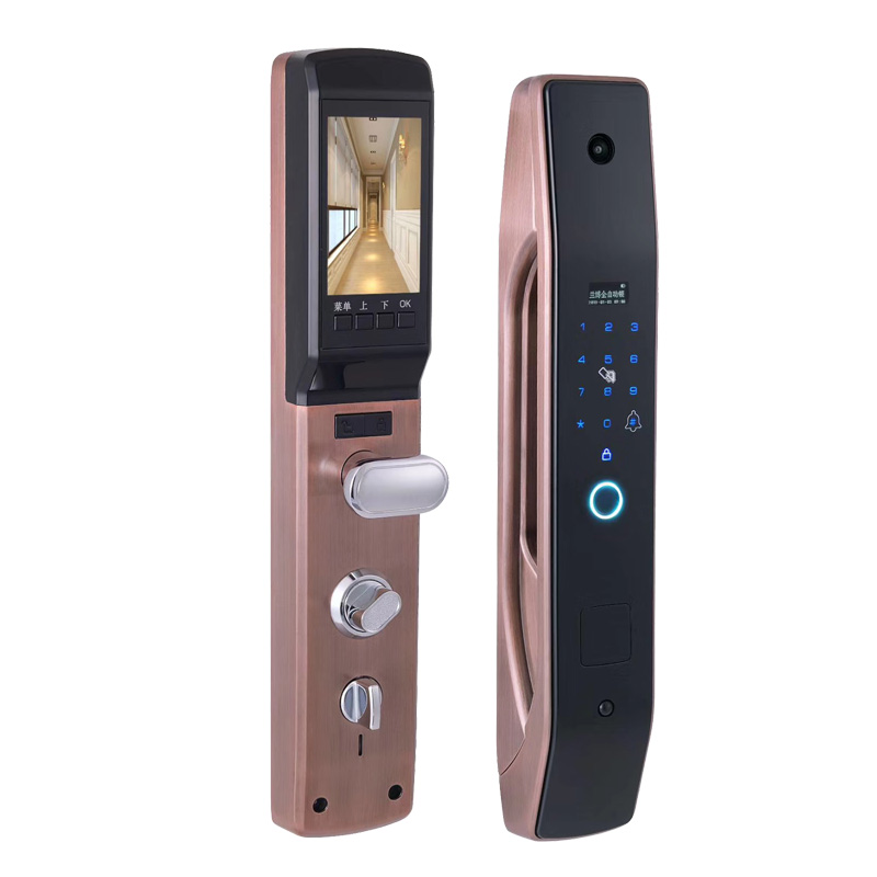 HanDaily fácil de instalar cer - Smart Home Door Lock reseña y precio