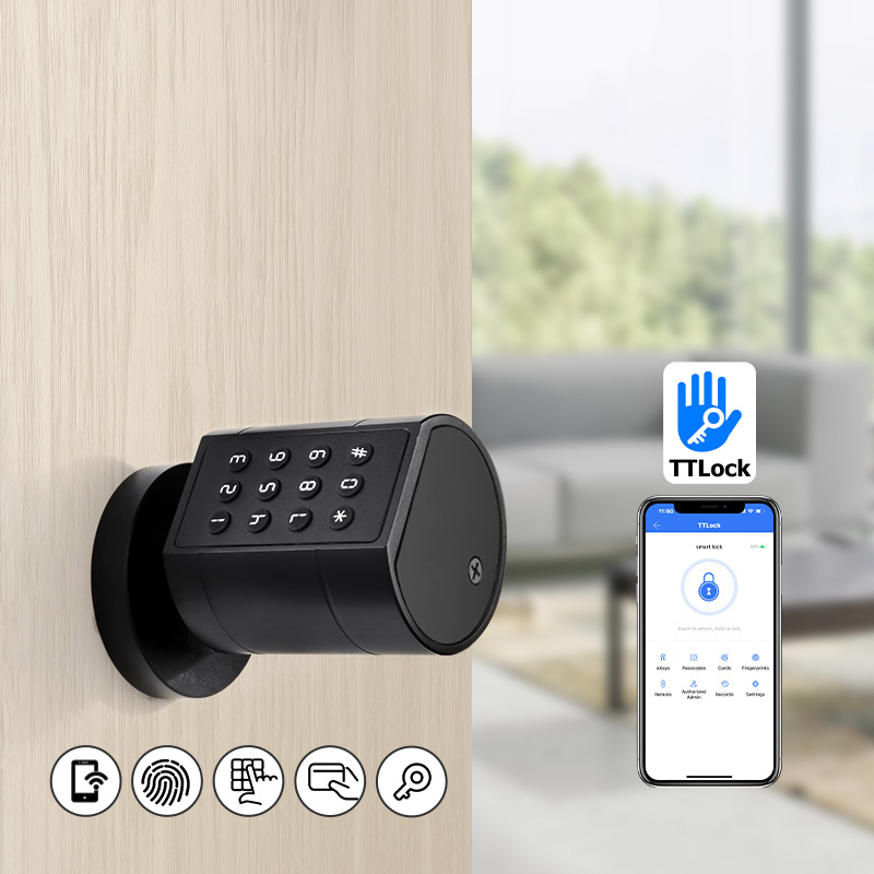 Cerradura de puerta cilíndrica - Smart Home Door Lock reseña y precio