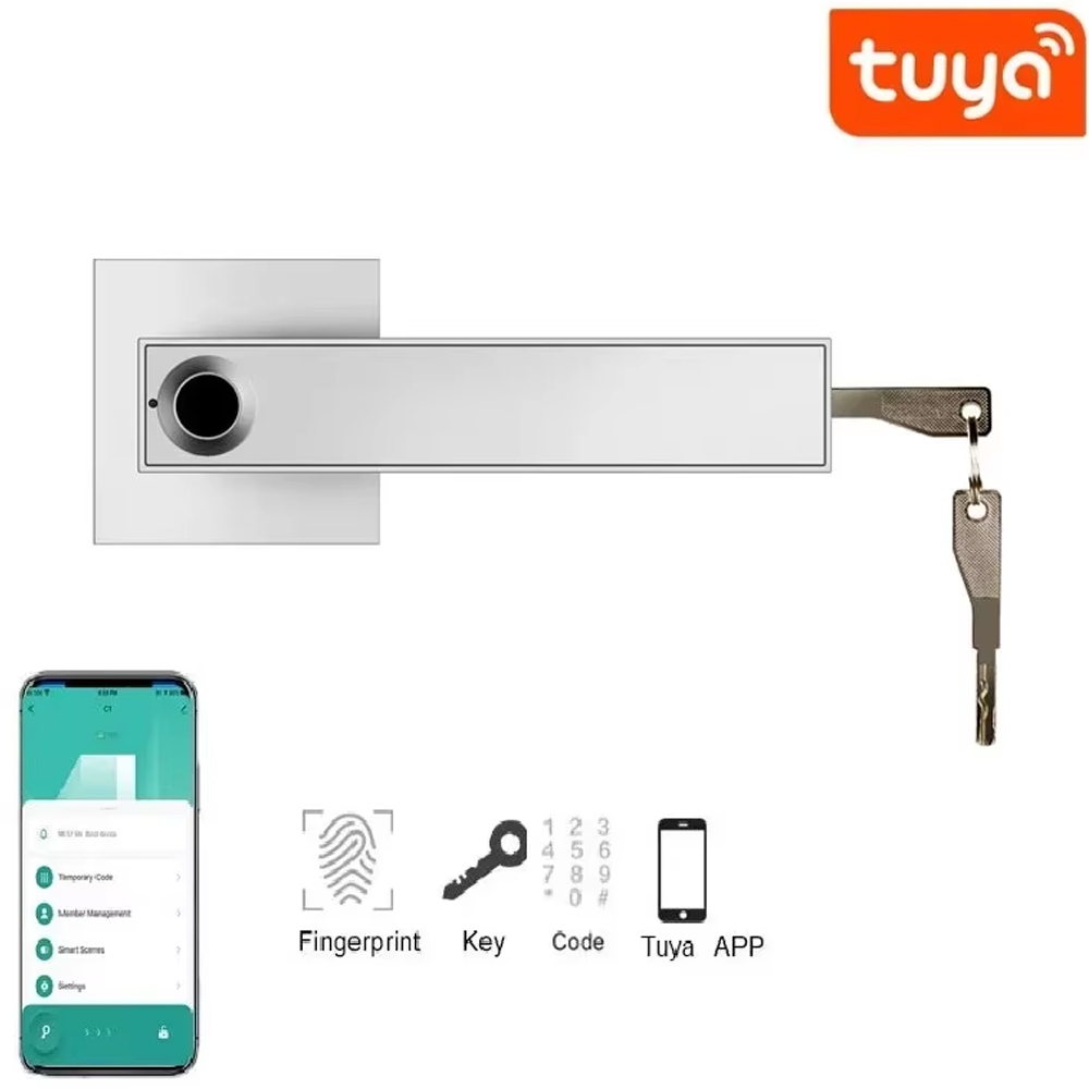 Cerradura de puerta inteligent - Smart Home Door Lock reseña y precio